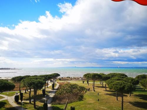 APPARTEMENT CLIMATISE 2 CHAMBRES VUE MER ET PARKING