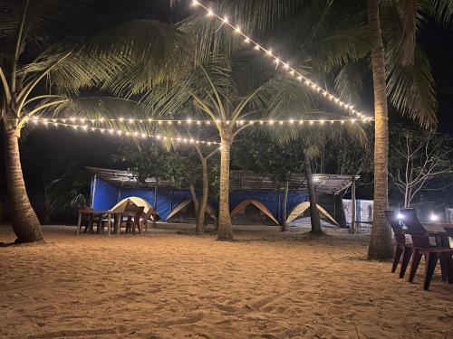 a tent on the beach with palm trees and lights at Zone 51 Malpe - Beach Camping Experience in Malpe