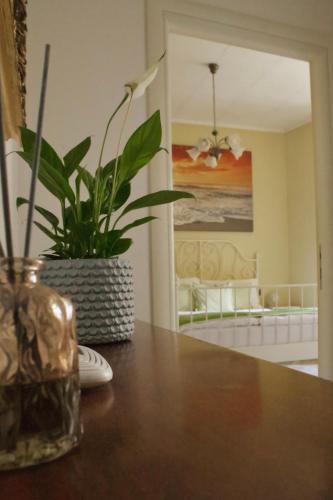 a wooden table with a vase with a plant on it at B&B Il Riccio in Tirano