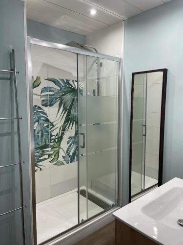 La salle de bains est pourvue d'une douche en verre et d'un miroir. dans l'établissement Superbe appartement avec terasse face à la mer, à Boulogne-sur-Mer