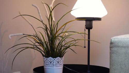 a plant in a white pot on a table next to a lamp at El Balcon del Horreo in Piloña