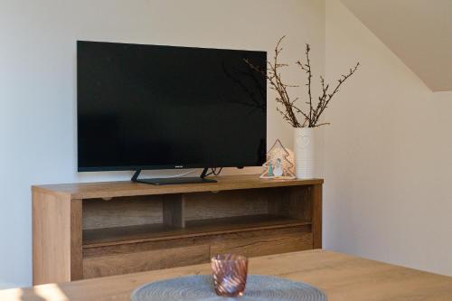 a flat screen tv sitting on top of a wooden entertainment center at Penzion U Lípy in Velké Karlovice