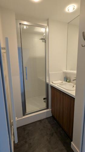 une salle de bain avec douche et lavabo dans l'établissement Face mer - Tyra, à La Baule