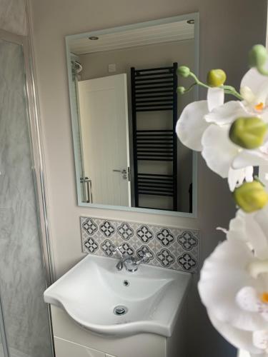 ein Badezimmer mit Waschbecken und Spiegel in der Unterkunft Betty's Cottage in Newcastle