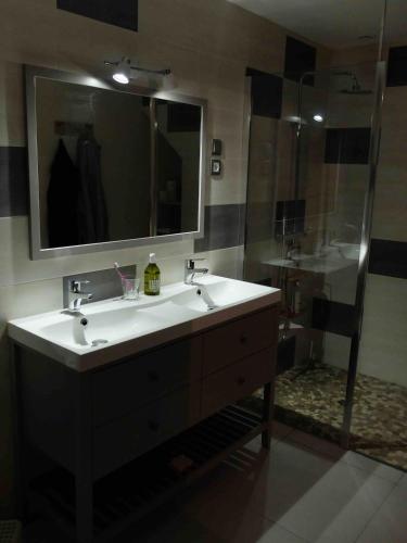 une salle de bain avec un lavabo et une douche dans l'établissement Gite à la campagne, à Villedômer