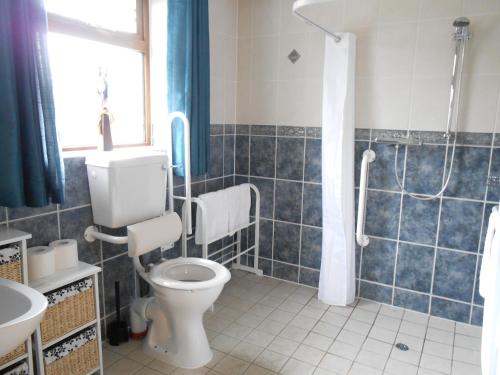 a bathroom with a toilet and a shower and a sink at Alverna House B&B in Athlone