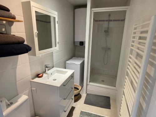 une salle de bain avec une douche, un lavabo et des toilettes dans l'établissement Studio 40m2 Antony, à Antony
