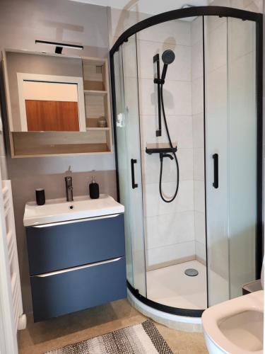 une salle de bain avec douche et lavabo dans l'établissement Studio cosy 21m2 rénové 75019, à Paris