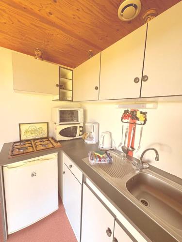 une cuisine avec un évier et un micro-ondes dans l'établissement Chalet à la ferme, à Pouylebon