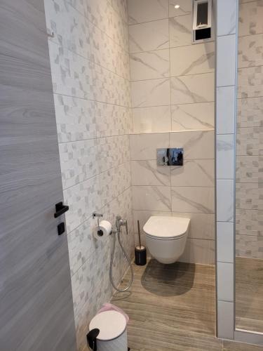 a bathroom with a toilet and a shower stall at Modernes Apartment direkt am Strand in Chrysi Ammoudia