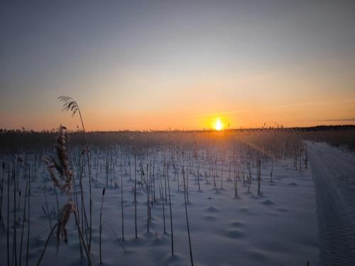 a field with the sun setting in the horizon at Holmens Boende och Event in Luleå