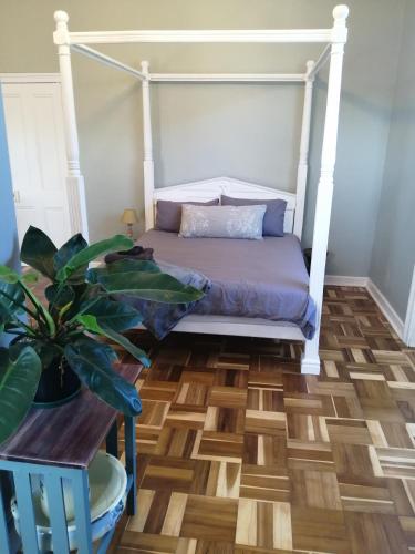a bedroom with a bed and a potted plant at The Homestead - Simple Farm-Style Accommodation in Port Alfred