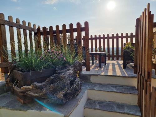 a wooden fence with some plants and a rock at Chez Paul in Massarosa