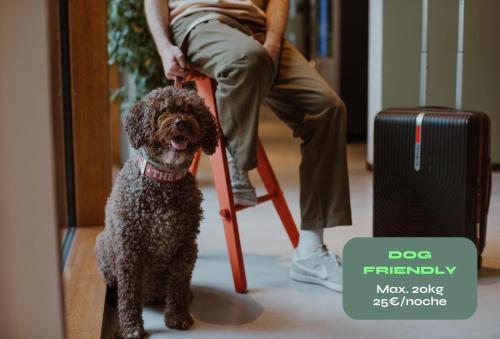 a person sitting in a chair with a dog on a leash at Kora Green City - Aparthotel Passivhaus in Vitoria-Gasteiz