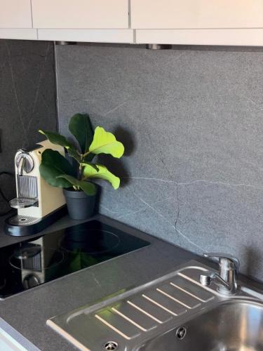 Studio avec terrasse, parking, piscine proche plage et centre à Cannes