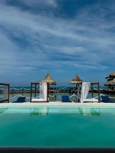 ein Swimmingpool mit Stühlen und Sonnenschirmen und das Meer in der Unterkunft Múcura Club Hotel in Isla Mucura