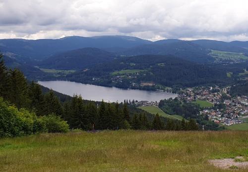 a view of a lake and a town on a hill at Oskar im Bärenhüsli in Titisee-Neustadt