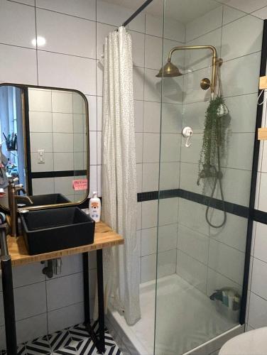 une salle de bain avec une douche, un lavabo et un miroir dans l'établissement Appt 2 pers - Hyper-centre de Nantes, à Nantes