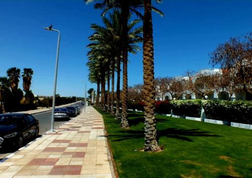 Fotografie z fotogalerie ubytování Sharm Hills Resort v destinaci Sharm El Sheikh