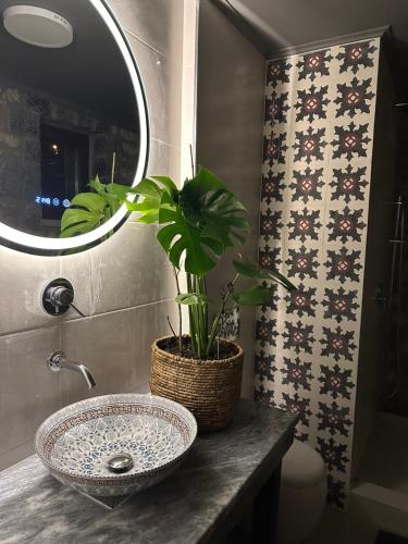 a bathroom with a sink and a potted plant at Wood & Stone Guesthouse in Khrisovítsion
