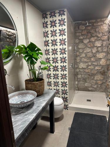 a bathroom with a toilet and a plant on a counter at Wood & Stone Guesthouse in Khrisovítsion