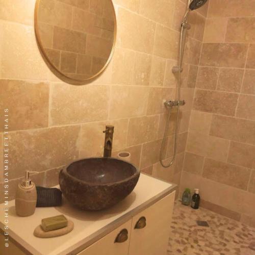 une salle de bain avec un lavabo et une douche dans l'établissement Les Chemins d'Ambre et Thaïs, à La Regrippière