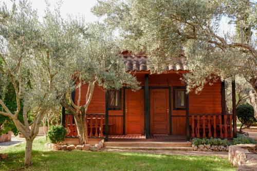 Zahrada ubytování Camping Alquézar