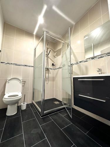 une salle de bain avec toilettes et douche en verre dans l'établissement La Casa de Mike, à Mohon