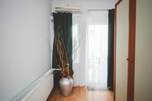 a hallway with a plant in a vase and a window at AMMOTTI Hotel in Ohrid