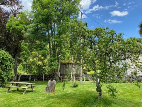a picnic table and a tree in the grass at Chez Sylvain in Issor