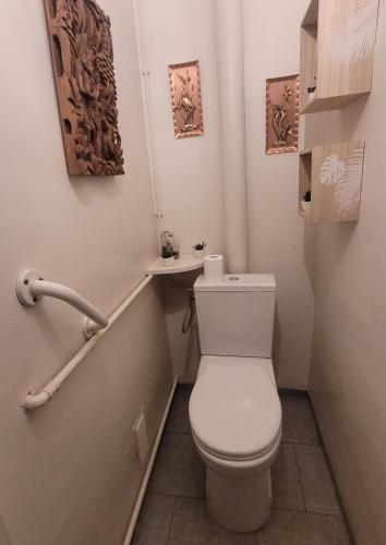 Elle comprend une petite salle de bains pourvue de toilettes et d'une étagère. dans l'établissement Confortable appartement 2 chambres au centre d'Alès, à Alès