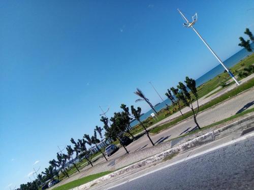a row of palm trees on the side of a road at Arbricot in Rio das Ostras