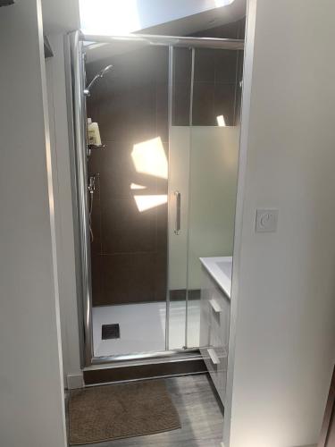 une douche avec une porte vitrée dans une salle de bain dans l'établissement Studio Tuco, à Mont-de-Marsan