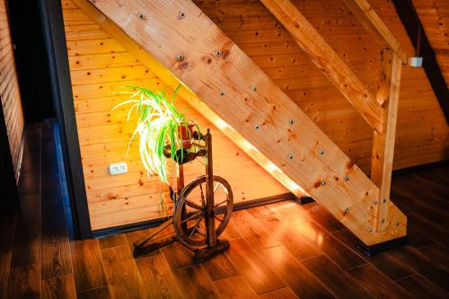 a plant sitting in the corner of a attic at Cabana Arunia in Buninginea
