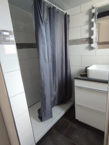 une salle de bain avec un rideau de douche et un lavabo dans l'établissement Mas Boucard Terrasse et parking privés, à Frontignan