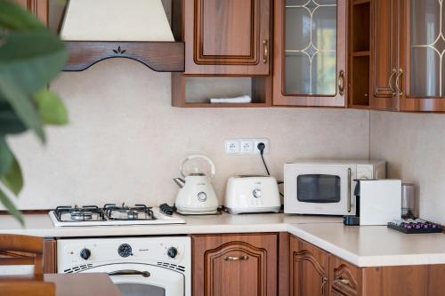 a kitchen with a stove and a microwave at Villa Emausy in Luhačovice