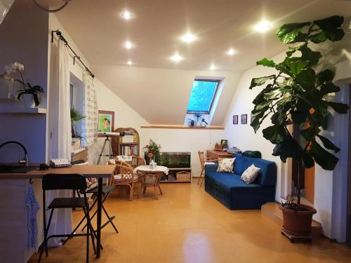 Apartmán Sluníčko