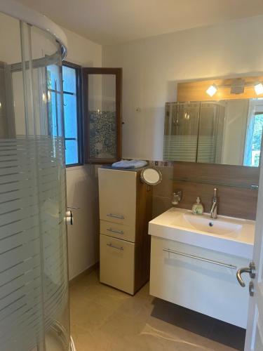 une salle de bain avec un lavabo et une douche dans l'établissement Chambre villa Soleil, à Roquebrune-sur Argens