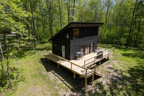 a black cabin in the middle of a forest at Private Cabin with Guesthouse Hot Tub Fire Pits in Roscoe