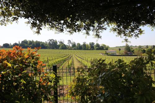 - une vue sur un vignoble derrière une clôture dans l'établissement Gite le Maine des Rois, à Juillac-le-Coq