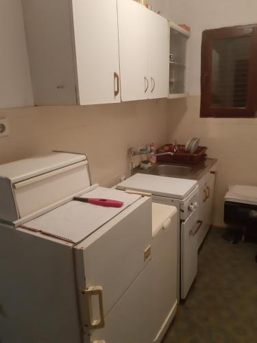 a kitchen with a white refrigerator and a sink at Diverso in Zelenika