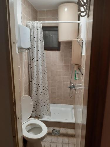 a small bathroom with a toilet and a shower at Diverso in Zelenika