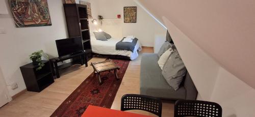 un salon avec un canapé et un lit dans l'établissement Les studios d'Eric N6, à Tours