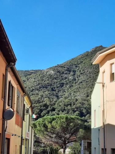 a hill with a tree in the middle of a street at Domu Asquer 5 in Fluminimaggiore