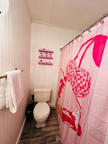 a bathroom with a toilet and a shower curtain at Barbie-1Bed1BathKitchDeckGrill-Sleeps Up to 4 in Russell