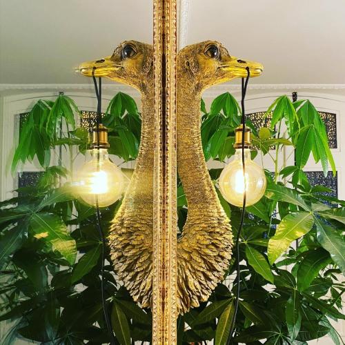a fancy lamp with two duck heads on it at Le Rez de Jardin Albi in Albi