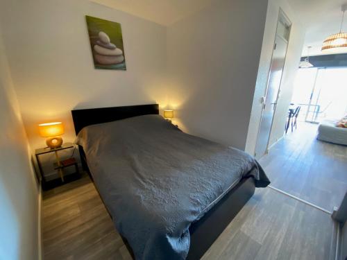 - une chambre avec un lit, deux lampes et une porte dans l'établissement Appartement 2 étoiles climatisé avec balcon, proche Thermes, animaux admis - FR-1-503-37, à Balaruc-les-Bains