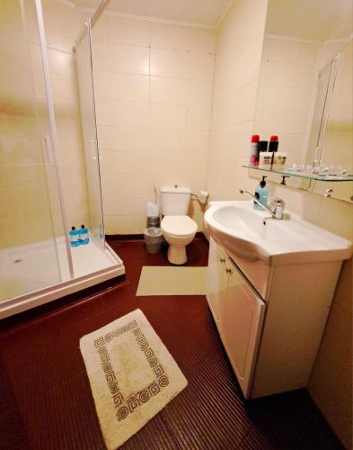 a bathroom with a shower and a toilet and a sink at Studio Piata Amzei in Bucharest