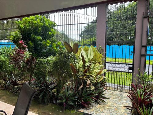 a garden with a gate with plants and a fence at Villa tico House in Cariari