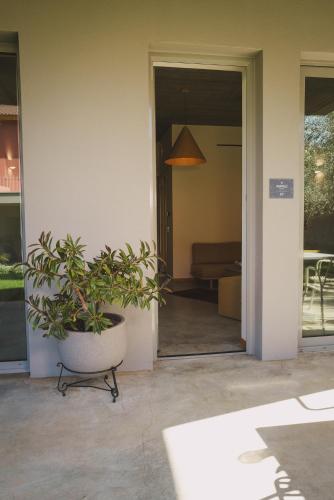 a plant in a pot sitting in theoyer of a house at Ampeli Villas in Néa Artáki